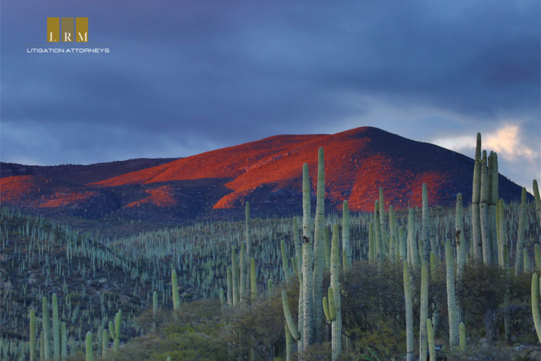 The Ejido: A Modern Mexican Real Estate Institution